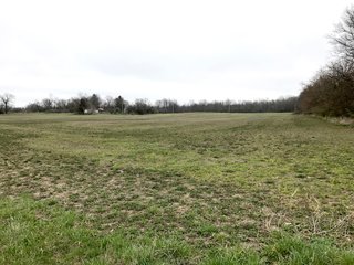 Property photo 3 - LAND AUCTION - 156.63+/- ACRES OFFERED IN 7 TRACTS IN ALLEN COUNTY, INDIANA
